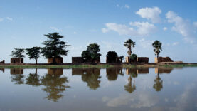 Niger_River_Center_Island