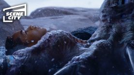 je n’est suit pas un lâche