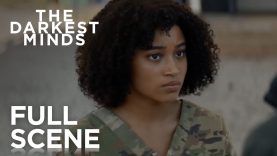 un film magnifique a absolument voir